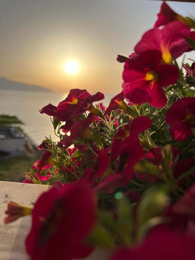 Lotus Apartments Vlore Bagian luar foto