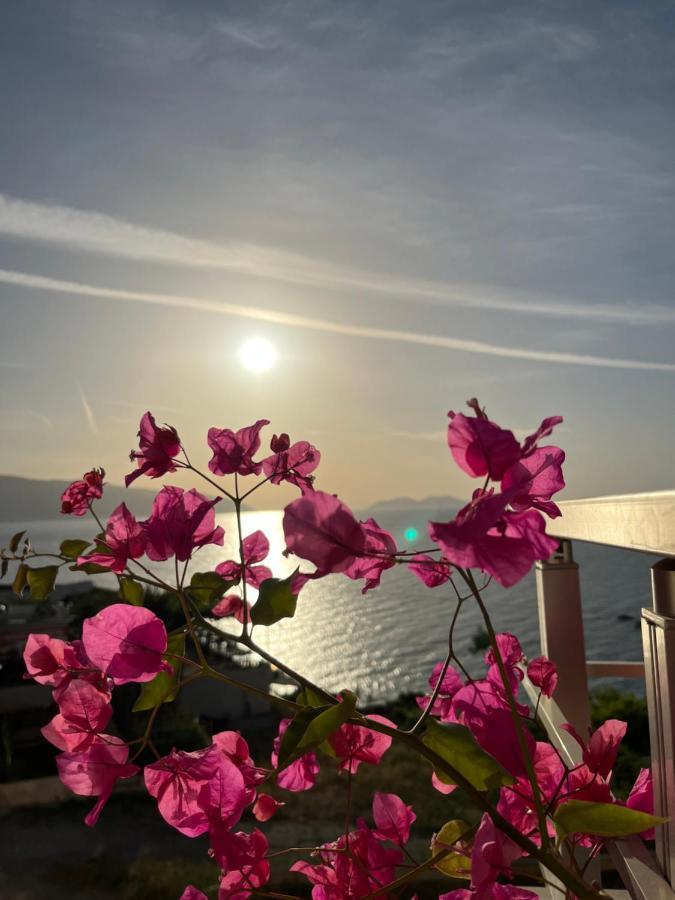 Lotus Apartments Vlore Bagian luar foto